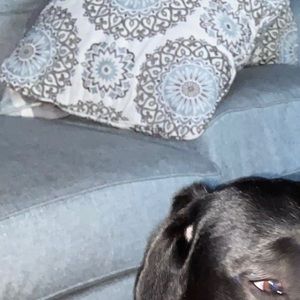 Meet your Posher, Bryan